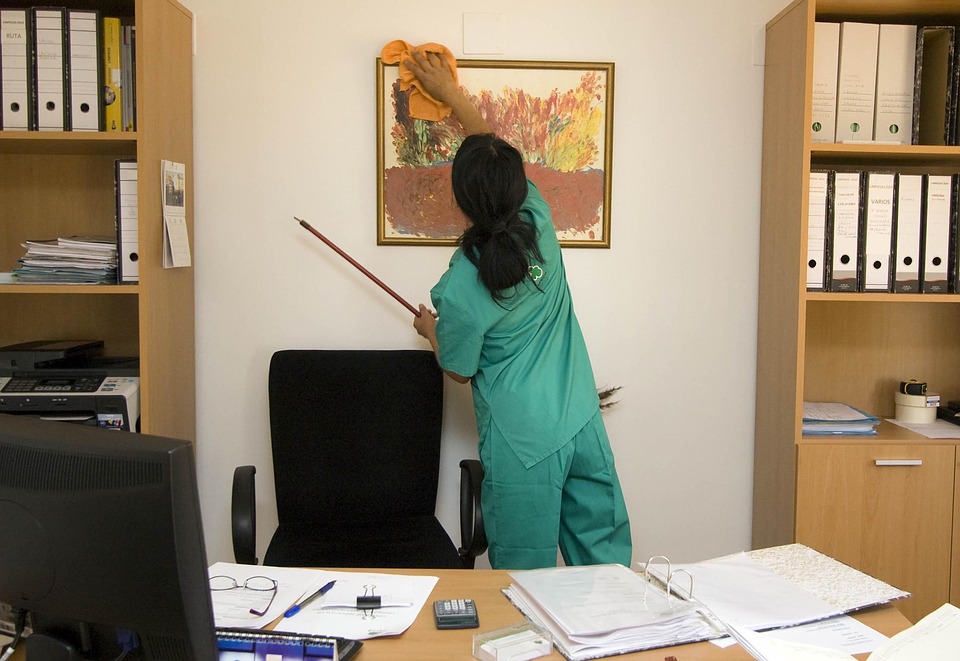 a professional cleaner