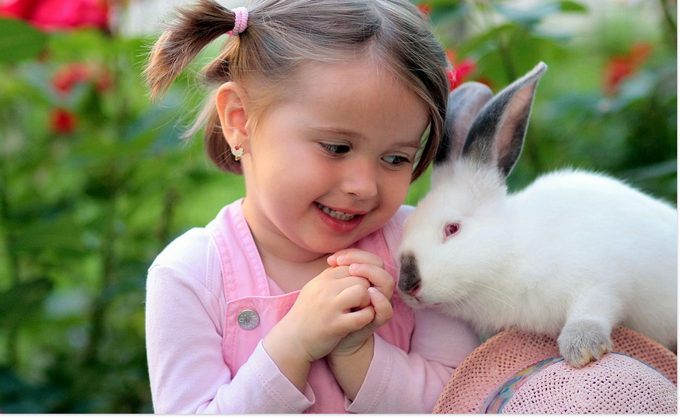 a girl and a rabbit